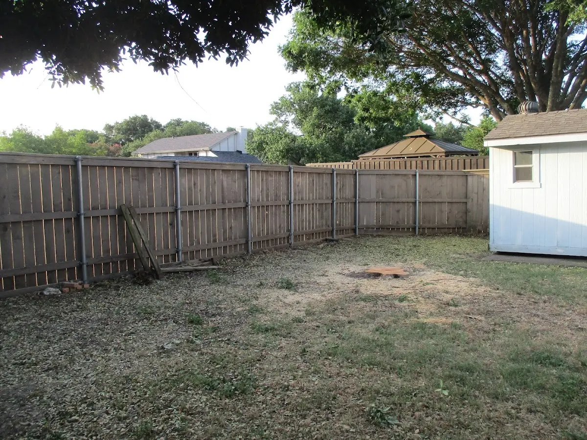 Cleared yard after professional tree removal in Currie